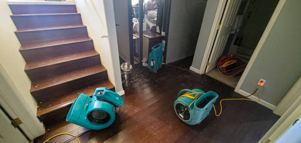 Best Flooded house restoration  in Orange Grove, TX