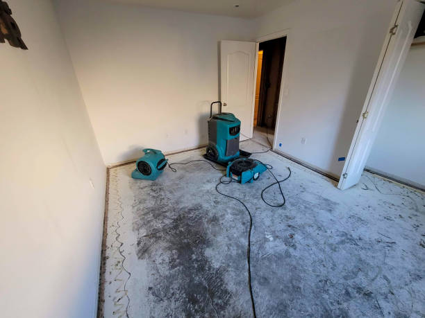 Best Water damage mitigation services  in Orange Grove, TX