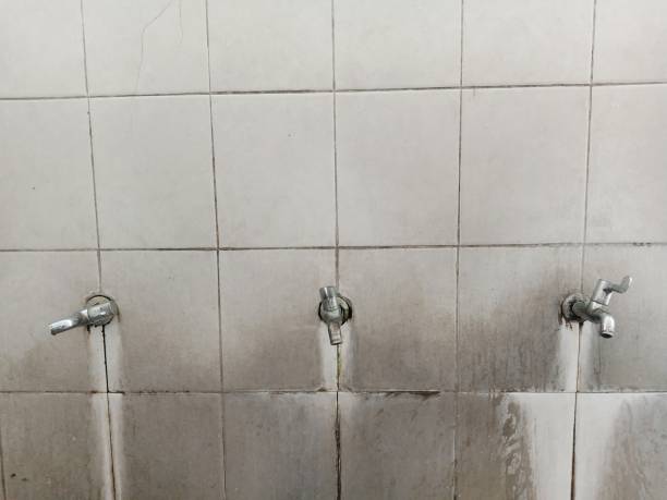 Best Emergency water damage restoration  in Orange Grove, TX