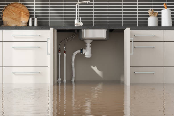 Best Flooded house restoration  in Orange Grove, TX