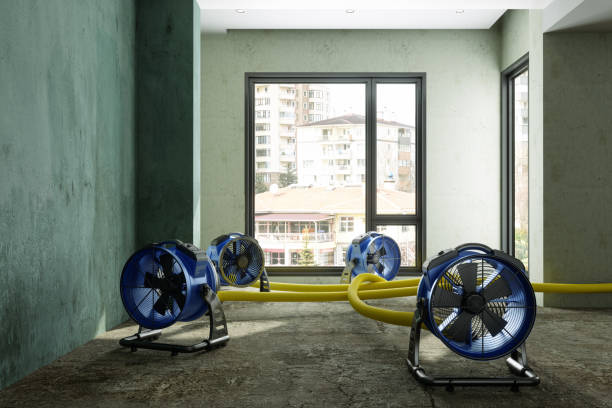 Best Residential water damage restoration  in Orange Grove, TX